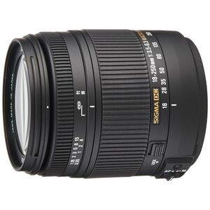 SIGMA 高倍率ズームレンズ 18-250mm F3.5-6.3 DC MACRO HSM ソニー用 APS-C専用 883621