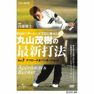 丸山茂樹の最新打法 Vol.3 DVD