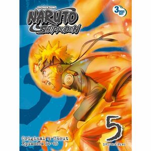 Naruto Shippuden Box Set 5 DVD Import