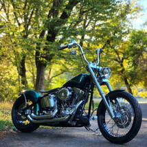 2010 FXSTC1580 Custom TC96 ツインカム インジェクション 検）ソフテイル カスタム tc88 fxst flstc fxd fxdl ワイド　_画像1