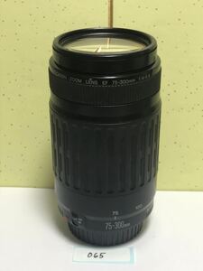 Canon キャノン EF 75-300mm F4-5.6 カメラレンズ レンズ 固定送料価格 2000