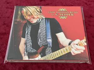 ★ANDY TIMMONS BAND★PLAYS SGT.PEPPER★CD★デジパック仕様★アンディ・ティモンズ・バンド★DANGER DANGER★2011 TIMSTONE RECORDS★