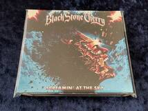 ★BLACK STONE CHERRY★SCREAMIN' AT THE SKY★CD★デジパック仕様★ブラック・ストーン・チェリー★MASCOT RECORDS★_画像1