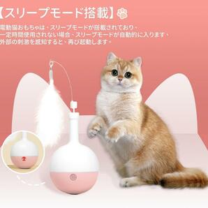 猫 おもちゃ 電動 自動 猫じゃらし 羽 リボン 運動不足 ストレス解消の画像3