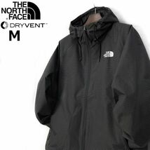 1円～!売切!【正規新品】THE NORTH FACE◆NOVELTY TNF RAIN HOODIE マウンテンパーカー US限定 2023最新 登山(M)黒 ボーダー柄 180915-65_画像3