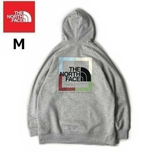 1円～!売切!【正規新品】THE NORTH FACE◆W NOV GRAPHIC HOODIE パーカー US限定 ボックスロゴ バックプリント 登山(M)グレー 181130-30