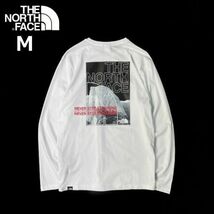 1円～!売切!【正規新品】THE NORTH FACE◆DOME BACK GRAPHIC L/S 長袖 Tシャツ ロンT US限定 バックプリント 男女兼用 上質(M)白 180902-20_画像1