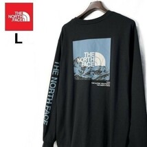 1円～!売切!【正規新品】THE NORTH FACE◆L/S LOGO PLAY 長袖 Tシャツ ロンT US限定 袖ロゴ ヒマラヤ 落描き風 アウトドア(L)黒180902-20_画像2