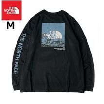 1円～!売切!【正規新品】THE NORTH FACE◆L/S LOGO PLAY 長袖 Tシャツ ロンT US限定 袖ロゴ ヒマラヤ 落描き風 アウトドア(M)黒180902-20_画像1