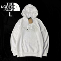 1円～!売切!【正規新品】THE NORTH FACE◆NOV HALFDOME HOODIE パーカー スウェット 立体ロゴ 男女兼用 裏起毛 キャンプ(L)白 181130-30_画像1