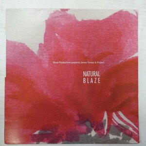 46049215;【US盤/2LP】Blaze Production Presents James Toney Jr. Project / Natural Blaze