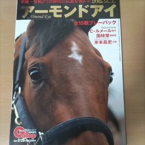 競馬　アーモンドアイ　三冠馬9冠牝馬　週刊ギャロップ臨時増刊版　本コレクション　ウマ娘　ジャパンカップ優勝顕彰馬イクイノックスの子