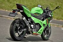 新品 ビームス Ninja250 (8BK-EX250Y/2BK-EX250P) R-EVO2 スリップオン カーボンサイレンサー 政府認証 G433-54-P2J BEAMS マフラー_画像5