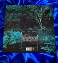 ★Fourteen Iced Bears / Wonder (14 Iced Bears )●1991年UKオリジナル初盤_BORD002　UKネオアコ　美盤_画像6