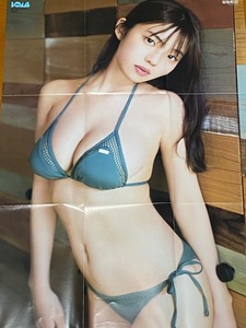 ◆即決◆　菊地姫奈　特大両面ポスター ⑩