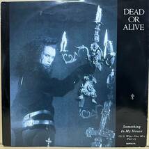 12' ペラジャケUK盤　DEAD OR ALIVE / SOMETHING IN MY HOUSE　※ U.S. Wipe - Out Mix Part 2 / D.J. HIT THAT BUTTON_画像1