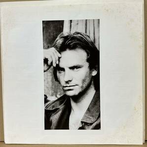 2枚組【LP】 STING / NOTHING LIKE THE SUN ※ ENGLISH MAN IN NEW YORKの画像5