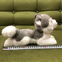 YK-5445 中古品 miyoni みよに 犬 狼 オオカミ ぬいぐるみ Aurora World(オーロラワールド) Miyoni Baby Lamb 約27cm×約11cm×約16cm_画像7