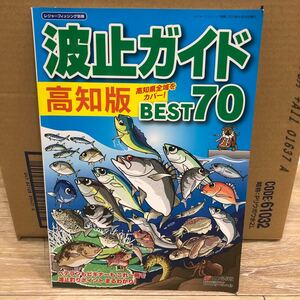 YK-5334 レジャーフィッシング別冊 波止ガイド 空撮 高知版《益田武美》KG情報 航空写真 磯 釣り 堤防 沖磯 波止