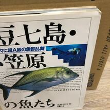 YK-5341 伊豆七島・小笠原の魚たち《田口哲》日本テレビ 空撮 航空写真 磯 釣り フィッシング 堤防 地磯 沖磯 波止_画像2