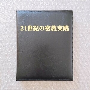 J【即決】苫米地英人 ワークスDVD第11弾『21世紀の密教実践 ～エソテリック超情報場アクセスと即身体感生成』 　