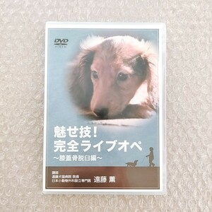 B【即決】遠藤薫/魅せ技！完全ライブオペ〜膝蓋骨脱臼編〜/獣医/動物病院/獣医師/医療情報研究所/DVD/犬猫/