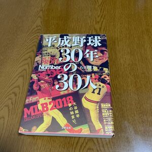 平成野球３０年の３０人 （Ｓｐｏｒｔｓ　Ｇｒａｐｈｉｃ　Ｎｕｍｂｅｒ　Ｂｏｏｋｓ） 石田雄太／著