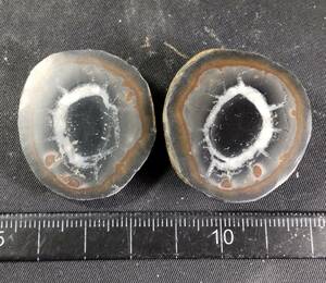 セプタリアン ( septarian ) ドラゴンストーン 亀甲石 ペア ③ 産地 モロッコ