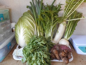 宮城から微農薬野菜・有機野菜（80サイズ）取り立てを送ります。送料込み！！！。
