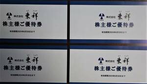 株式会社 東祥 株主様ご優待券 4枚 2024年6月30日迄 ホリデイスポーツクラブ ホリデイゴルフガーデン