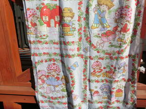  Vintage strawberry shortcake Flat sheet 1/4 size B