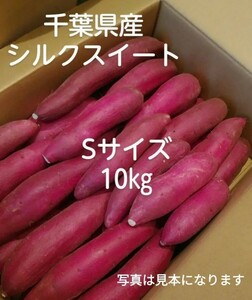 千葉県産　シルクスイート　さつまいも　サツマイモ　Sサイズ約10.0㎏