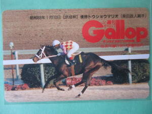 ☆週刊GALLOP　昭和63年　京成杯　トウショウマリオ　テレカ☆