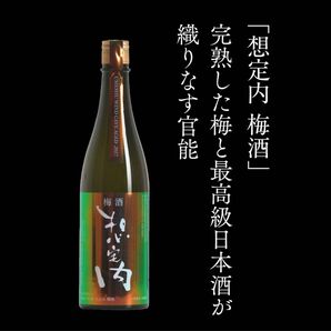 想定内　梅酒　SOUTEINAI UMESHU 常温保存