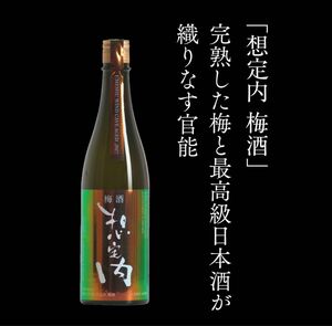 想定内　梅酒　SOUTEINAI UMESHU 常温保存