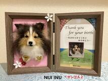 【ＮＩＪＩ　ＩＮＵ】☆羊毛もふもふフォト☆　オーダーメイド　手作りオリジナル　羊毛フェルト犬　写真　 ハンドメイド　アート　虹の橋_画像1