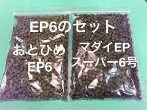 お得なEP6セット『おとひめEP6』と『マダイEPスーパー6号』500gづつ合計1kgのセット 沈下性 アスタキサンチン配合