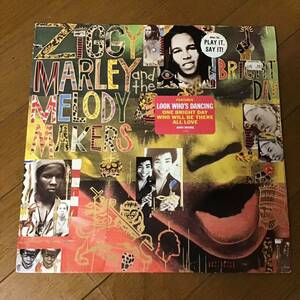 US盤 LP / ZIGGY MARLEY AND THE MELODY MAKERS/ONE BRIGHT DAY / Virgin 1-91256