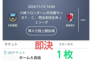 川崎フロンターレ VS 京都サンガFC　ホームA自由席 チケット１枚 QRチケット 送料無料 チケット 即決 