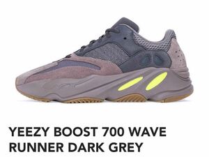 Yeezy Boost 700 Wave Running Dark Grey 26cm
