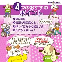 【認定中古車】車椅子 車いす 車イス 軽量 コンパクト スポーツ 自走用 ピリンフォリーナ B408 カドクラ Mサイズ_画像4