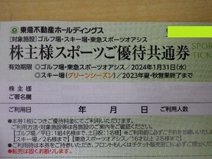 大黒屋 東急不動産 株主優待 スポーツオアシス ゴルフ 那須 期限2024/1 即決 1-7枚B