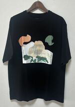 ノースフェイス パープルレーベル Mサイズ グラフィック プリント 半袖 Tシャツ H/S GraphicTee NT3330N ブラックK_画像1