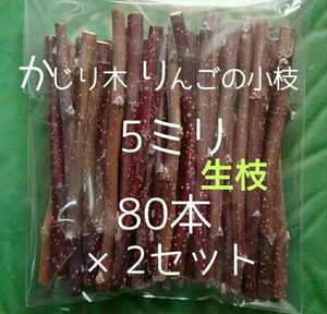 かじり木りんごの細枝160本　生枝