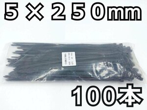 結束バンド 100本★5x250mm 黒 長期在庫のため訳あり特価！ ナイロン ケーブルタイ タイラップ インシュロック DIY 車 バイク 結束タイ