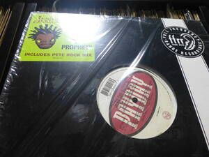 【pete rock remix/us original】jeru the damaja/you can't stop the prophet/