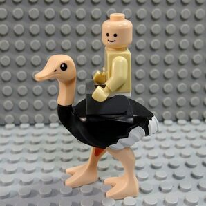 ★LEGO★動物★Ostrich_A(24689pb01c01)の画像5