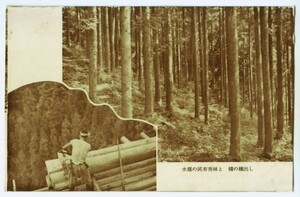 静岡 浜松 水窪の民有美林 橇での木材積出し 林業