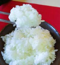 令和5年産 長野県 安心低農薬コシヒカリ(減農薬) 無洗米5Kg袋　新米　特別栽培米_画像4