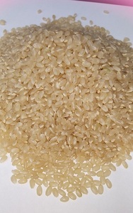 令和５年産 長野県 安心低農薬コシヒカリ(減農薬) 玄米25Kg　新米　特別栽培米